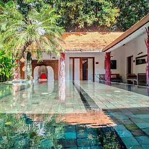 The Secret Jungle Villa